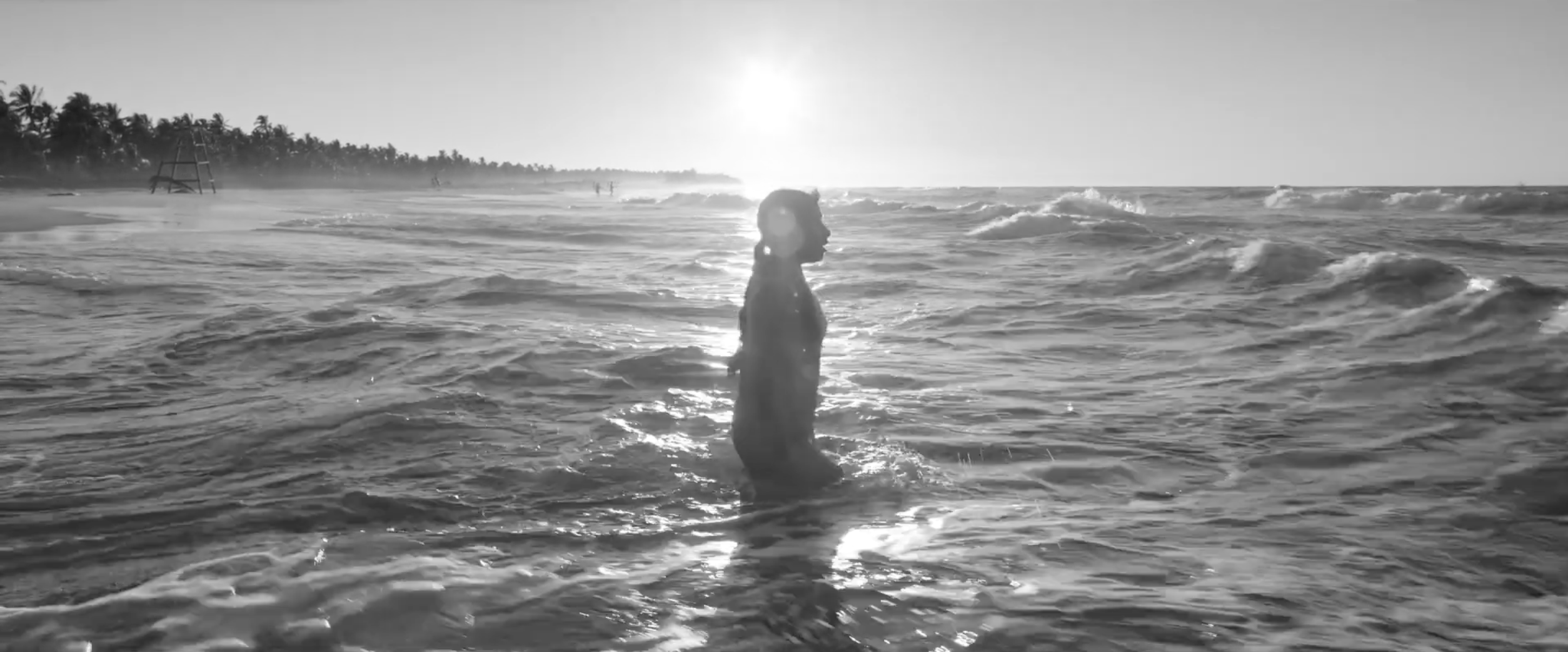 Cleo standing in the ocean during the beach rescue