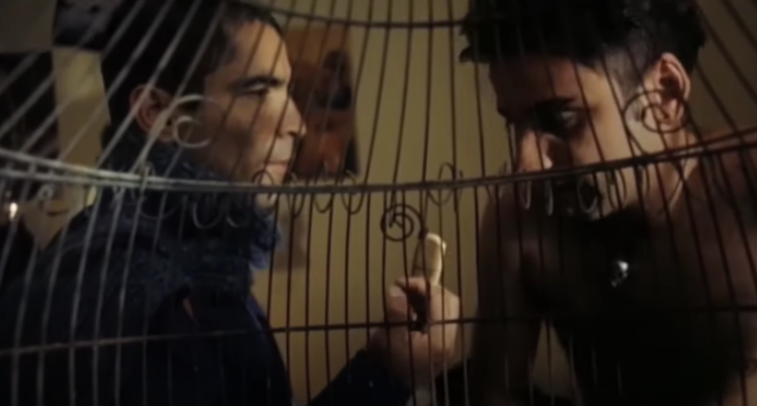 Bars of birdcage