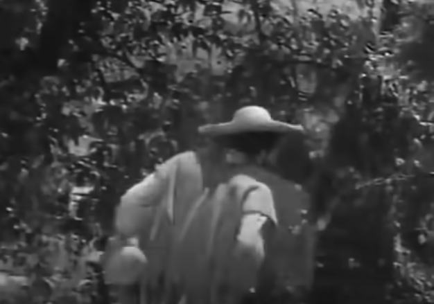 The image dissolves as Macario runs away into the forest.