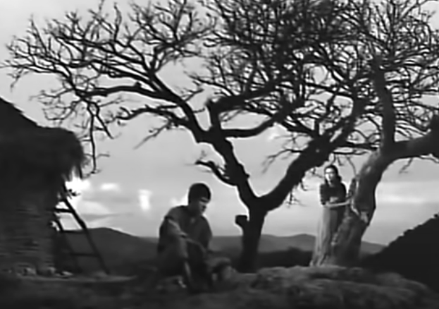 Macario sits outside, looking dejected. His wife looks over him from a nearby tree.