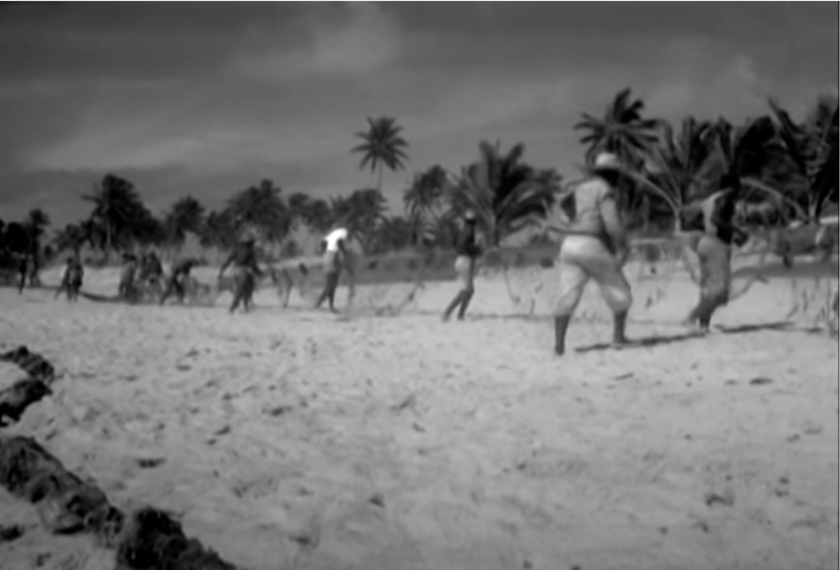 Men walking with the fishing net.