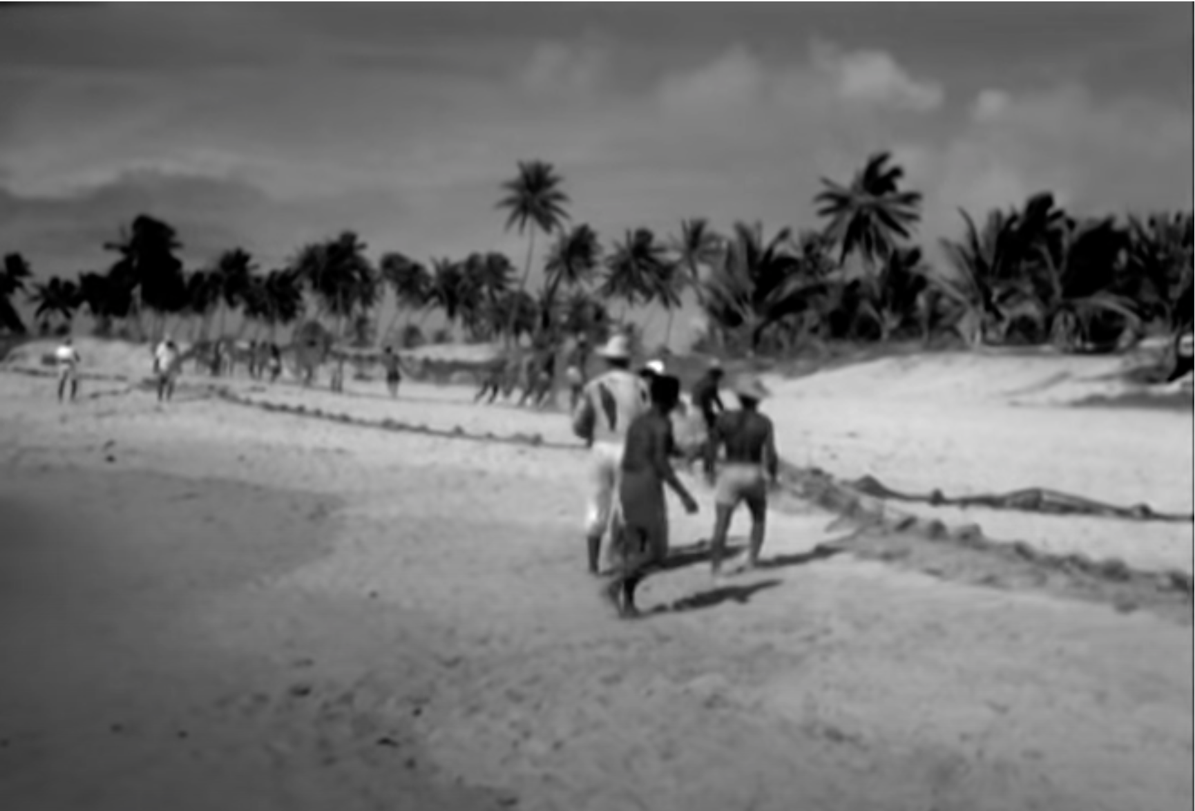 The layout of the net and its importance for the villagers.