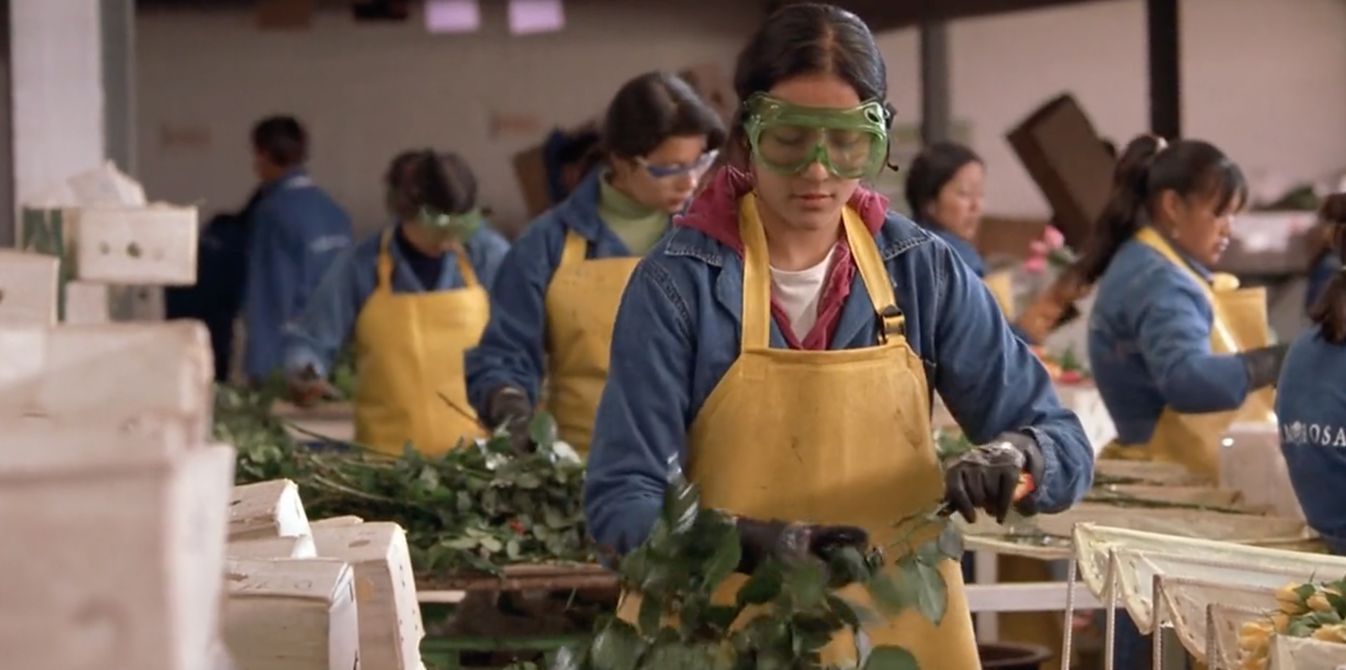 María trabajando 
