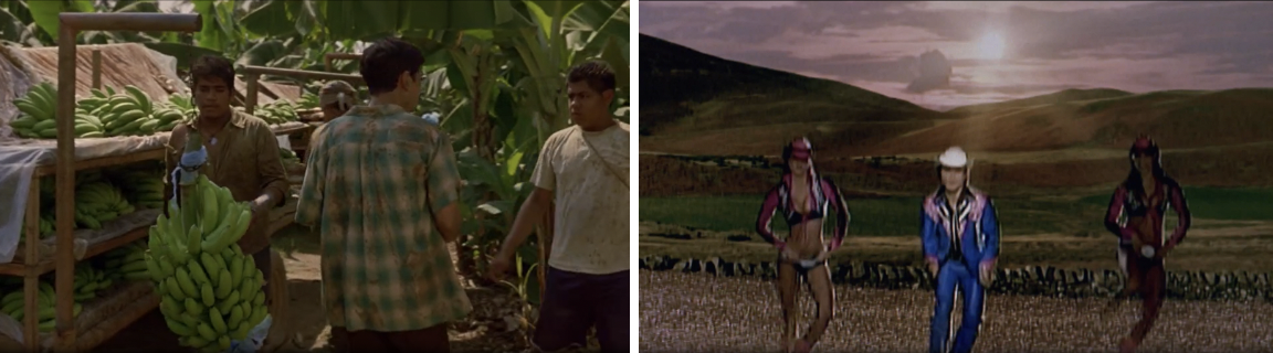 These pictures illustrate the mentioned examples of naturalistic and artificial environments (the banana plantation and the music videoclip).