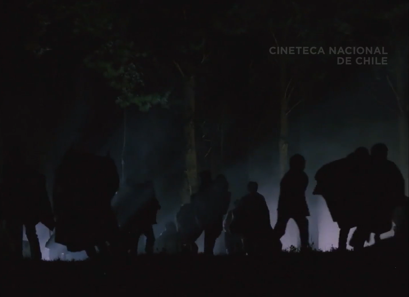 People running away at night, their hurried silhouettes illuminated by a backlight.