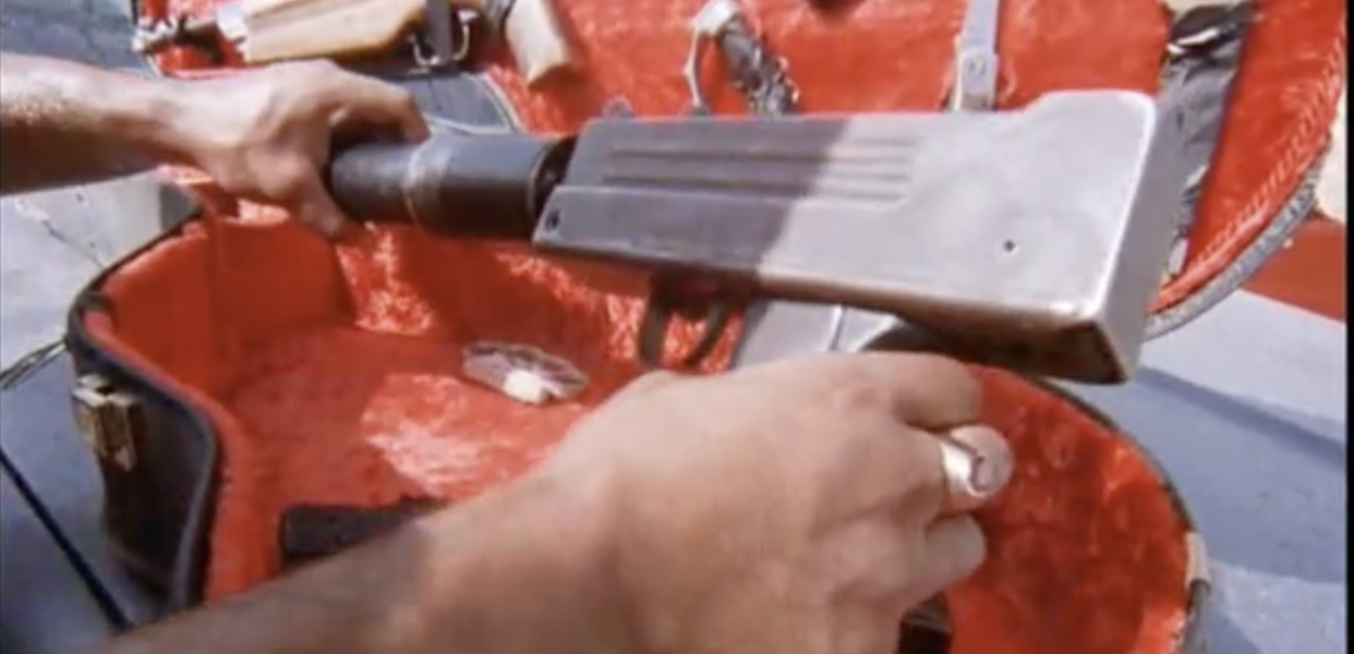 gun in guitar case