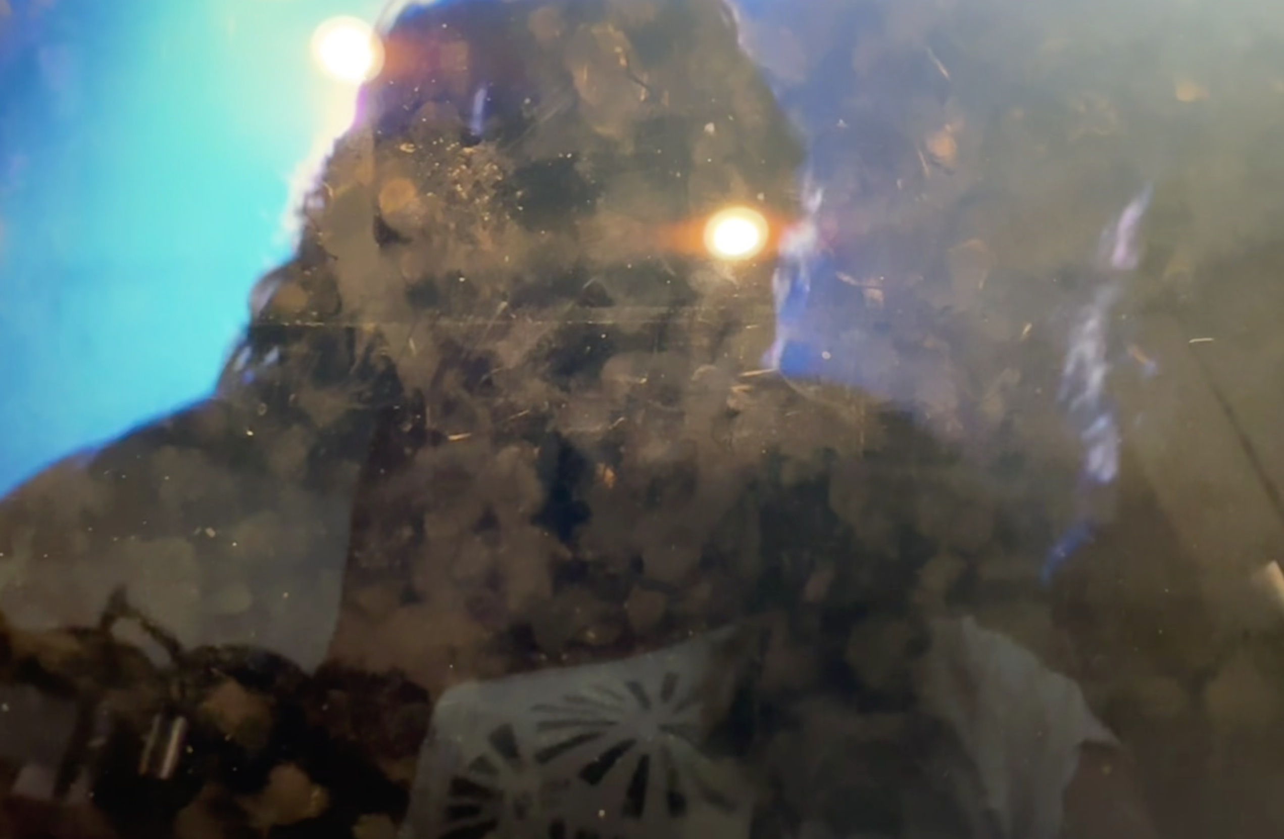 Following Camera/Uxbal through party