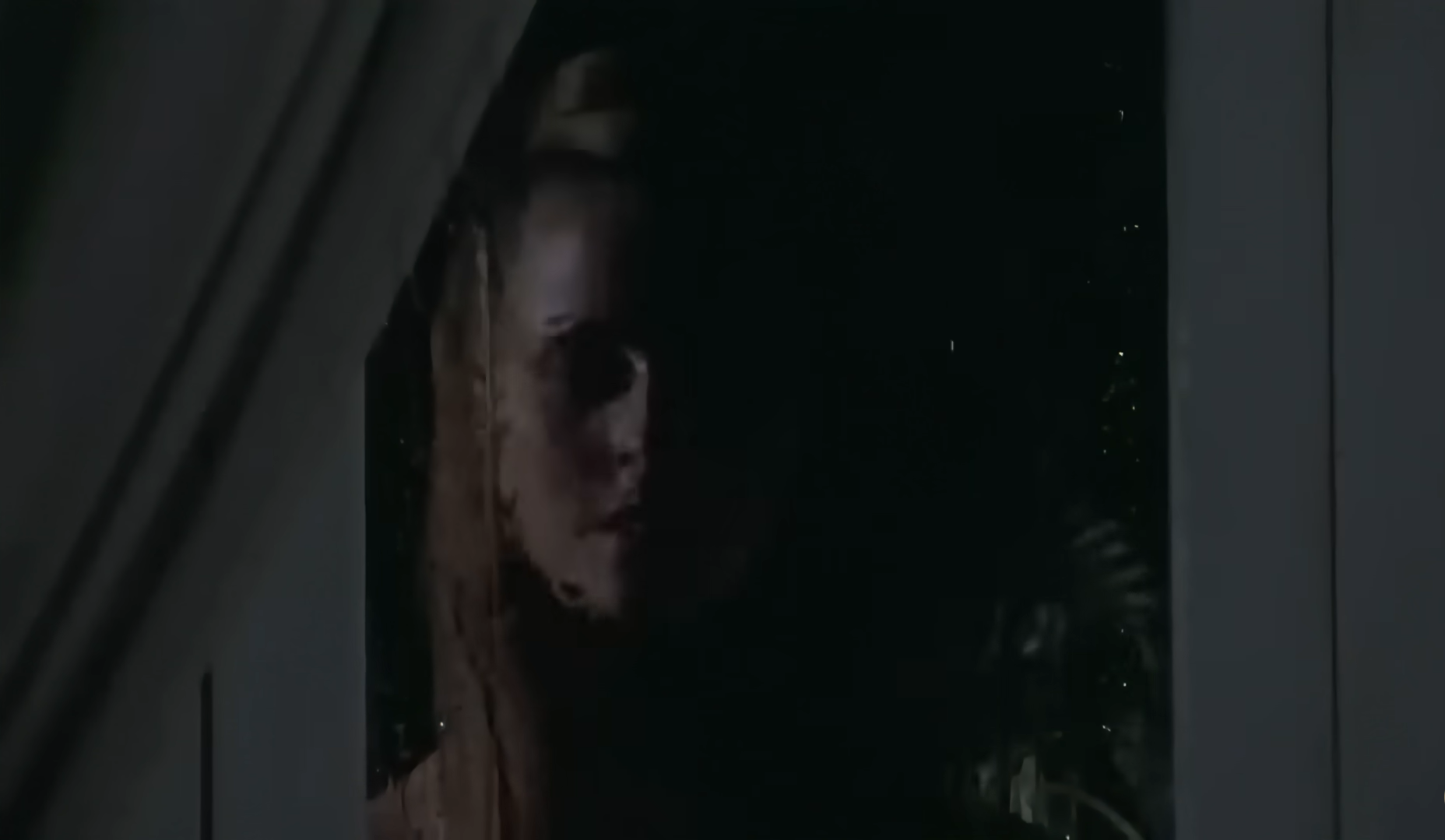 La toma cambia a una ventana donde se ve al fantasma.