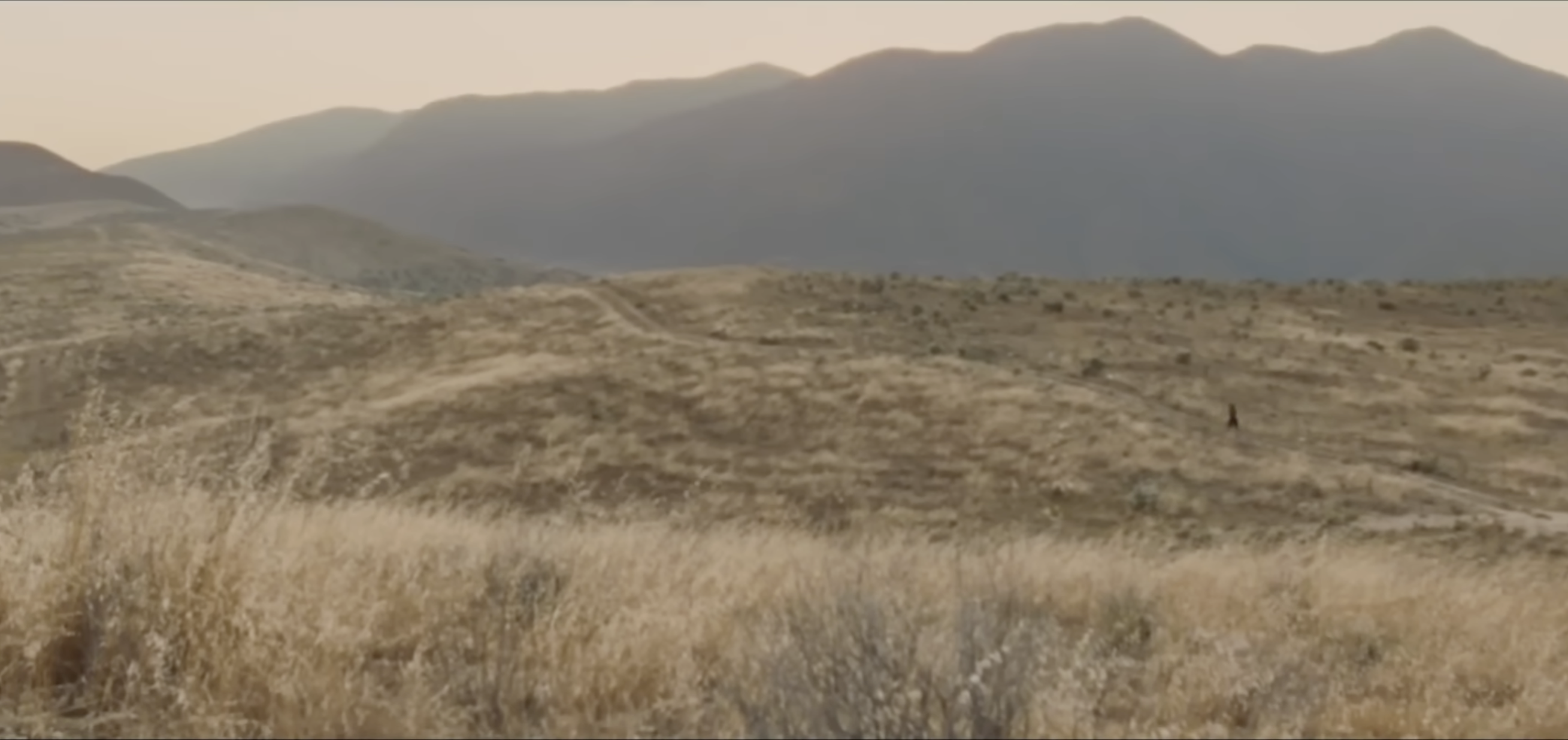 Wide shot of dry, grassy hills and a hazy mountain range, with a tiny figure walking in the distance.