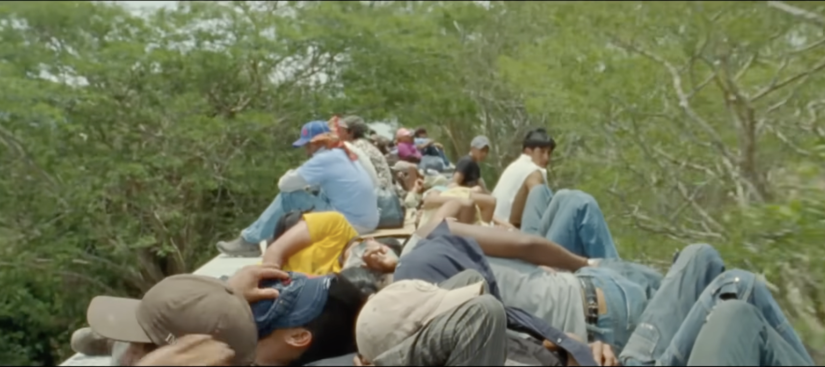 Migrants sit and lie on the roof of a freight train as it passes under green trees.