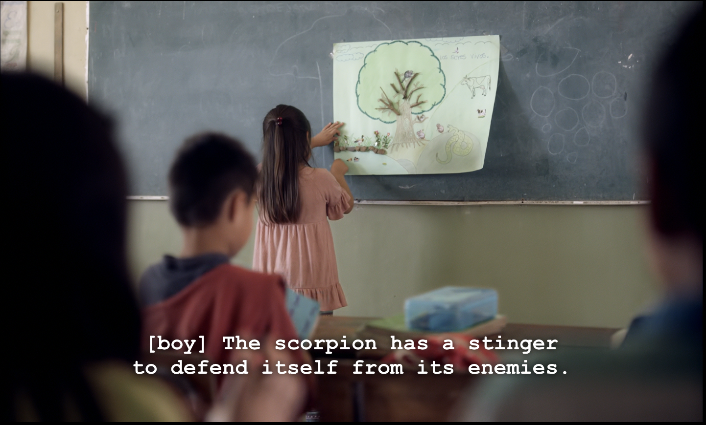 Schoolgirl describing her project on living/nonliving beings
