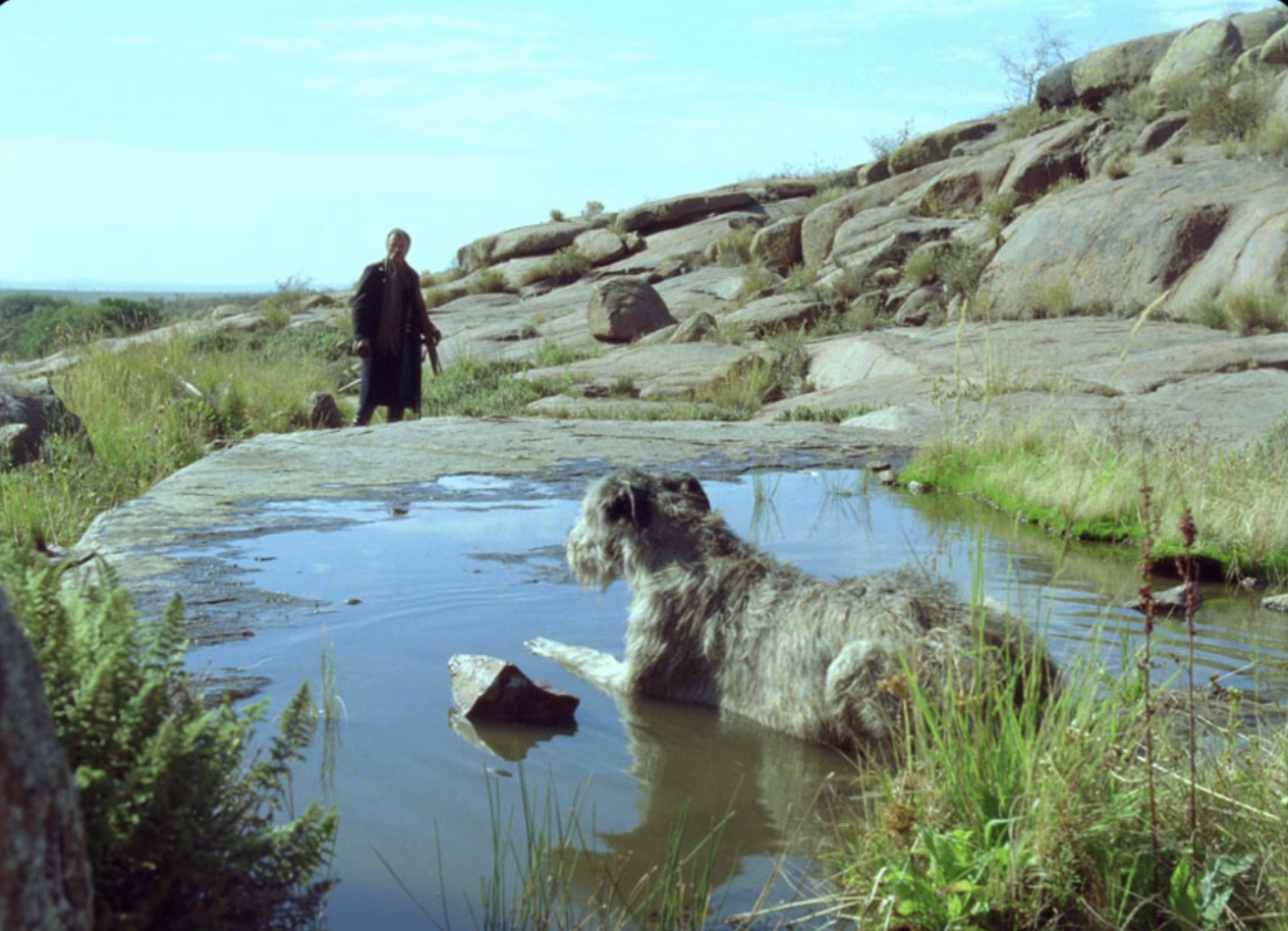 A dog lies in a small, shallow pond. Dinesen stares at him from a distance. 
