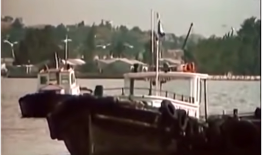 Birds fly around a boat.