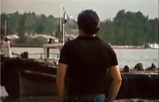 Oscar looks at birds.