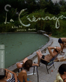 This is an image of one of the initial scenes, where the adult family members are sitting by the dirty pool and drinking.
